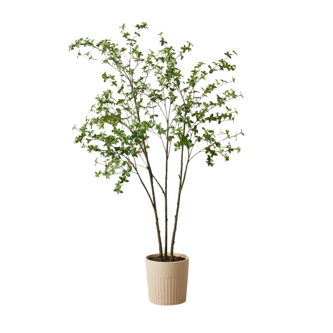 Faux Gypsophila Leaf Tree - Raising 3 Foodies